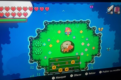 Blossom Tales 2, un Zelda-like