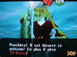 The Legend of Zelda : Ocarina of Time Nintendo 64 : astuces, cheat codes,
