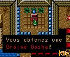 Graine Gasha 4