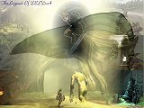 fond d'écran Twilight Princess