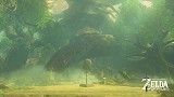 Breath of the Wild background