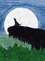 fan art
