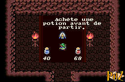 Marchande de Potions