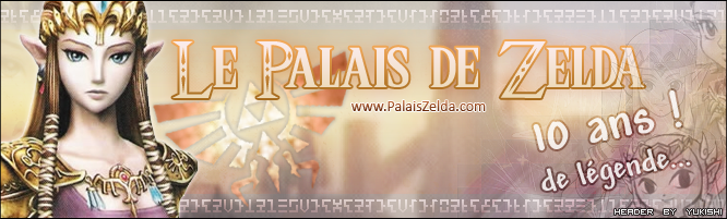 bannière 10 ans Palais de Zelda