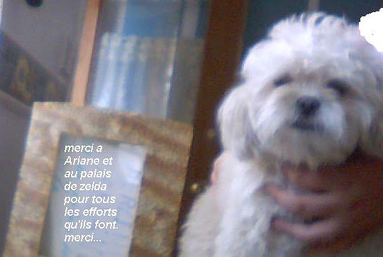 cadeau