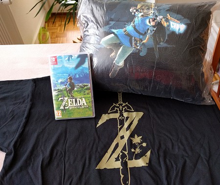 Concours Breath of the Wild