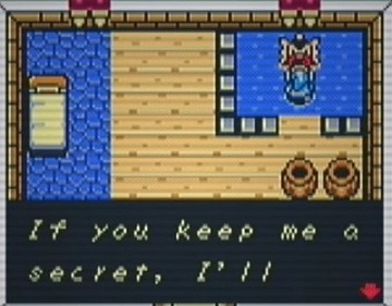 Link's Awakening DX keep me a secret