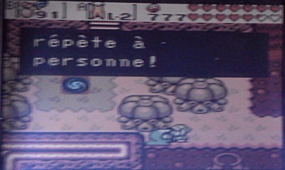 Oracle of Seasons it's a secret to everybody