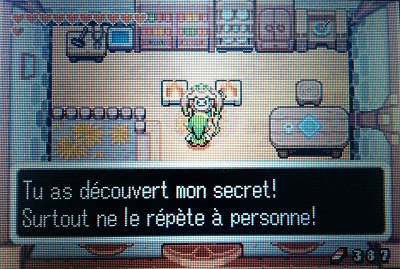 The Minish Cap Don't tell anyone!