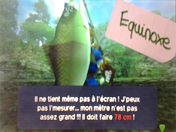 record