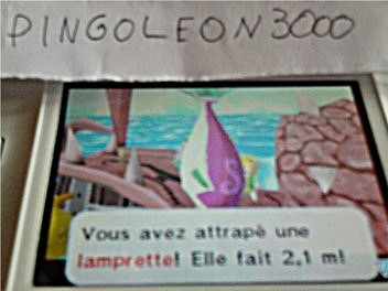 record