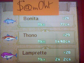 record
