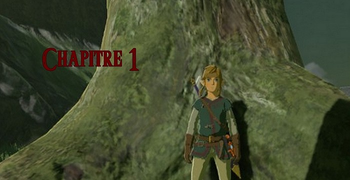 fiction The Legend of Zelda : La malédiction des héros