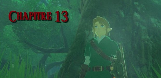 fiction The Legend of Zelda : La malédiction des héros
