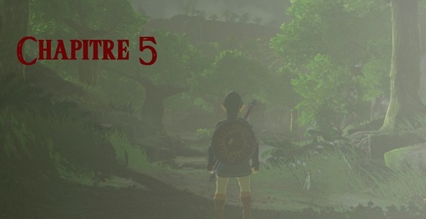 fiction The Legend of Zelda : La malédiction des héros