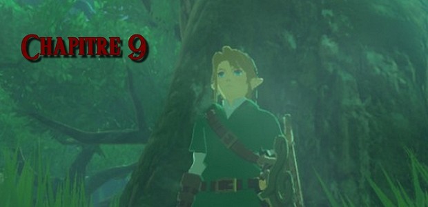 fiction The Legend of Zelda : La malédiction des héros