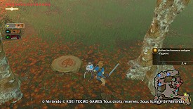 Un Korogu dans Hyrule Warriors: l'Ère du Fléau