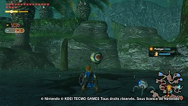 Un Korogu dans Hyrule Warriors: l'Ère du Fléau