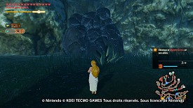 Un Korogu dans Hyrule Warriors: l'Ère du Fléau