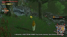 Un Korogu dans Hyrule Warriors: l'Ère du Fléau