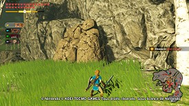 Un Korogu dans Hyrule Warriors: l'Ère du Fléau