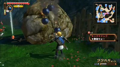 réceptacle de coeur Hyrule Warriors