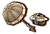 Ombrelle