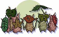 Korogus