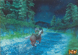 The Legend of Zelda sur GC
