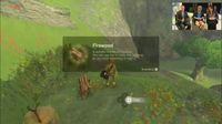 scène Breath of the Wild