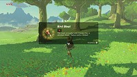 scène Breath of the Wild