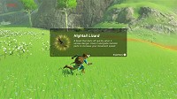 scène Breath of the Wild
