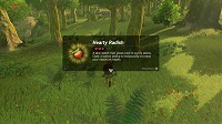 scène Breath of the Wild