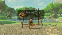 scène Breath of the Wild