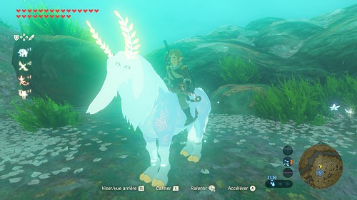 sage de la forêt ou alpha dans Breath of the Wild