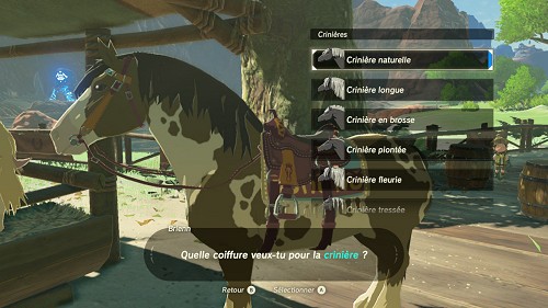 Trucs Et Astuces De Breath Of The Wild Encore Plus De