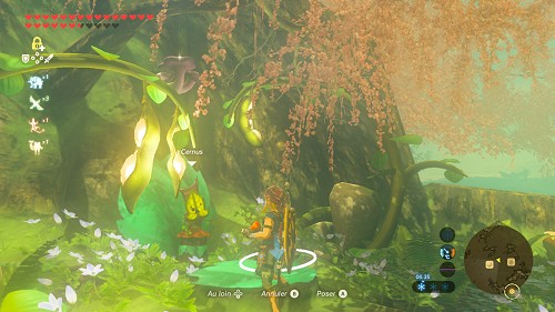 mission Les énigmes d'Hyrule dans Breath of the Wild