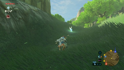 mission L'épreuve des Rumys dans Breath of the Wild