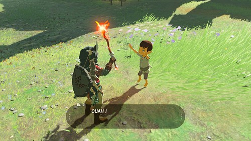 mission Le jeune enthousiaste dans Breath of the Wild