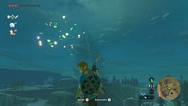Un Korogu dans Breath of the Wild
