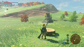 Un Korogu dans Breath of the Wild