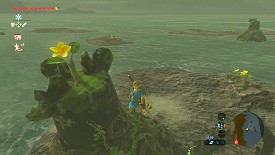 Un Korogu dans Breath of the Wild