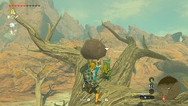 Un Korogu dans Breath of the Wild