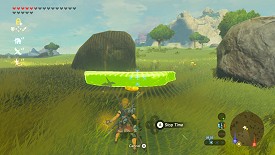 Un Korogu dans Breath of the Wild