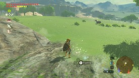 Un Korogu dans Breath of the Wild