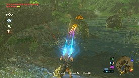 Un Korogu dans Breath of the Wild