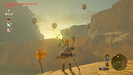 Un Korogu dans Breath of the Wild