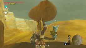 Un Korogu dans Breath of the Wild