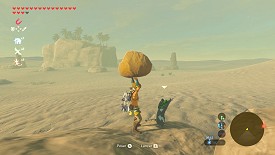 Un Korogu dans Breath of the Wild