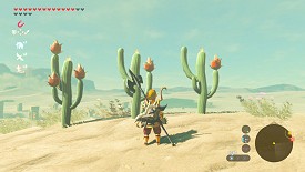 Un Korogu dans Breath of the Wild